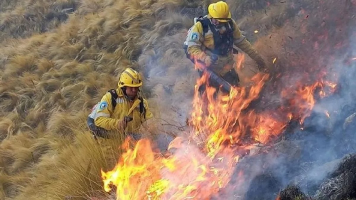 más de 6.000 hectáreas fueron afectadas por el fuego