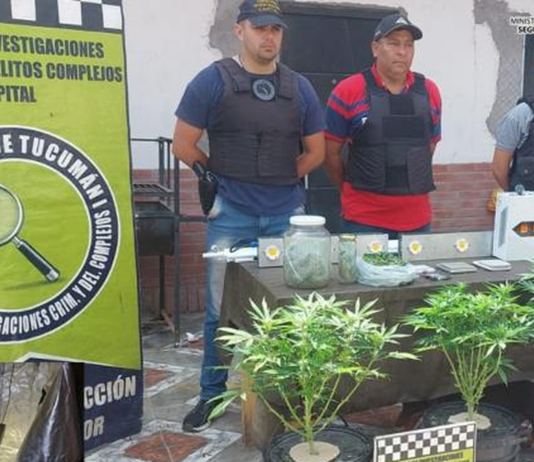 Decomisan marihuana y armas en Barrio Alem