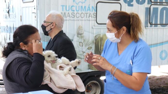 Durante esta gestión Tucumán Mascotas realizó 17 mil castraciones