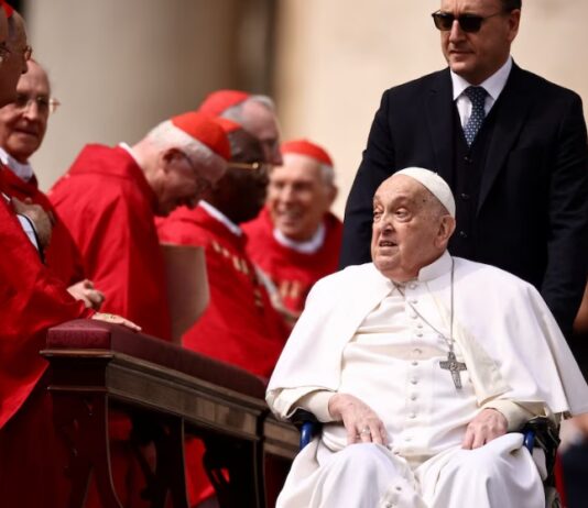 El papa apareció de sorpresa en el Vaticano durante la misa del Domingo de Ramos papa