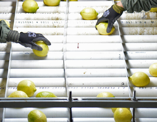 Trump suspende aranceles por 90 días a los países que no toman represalias