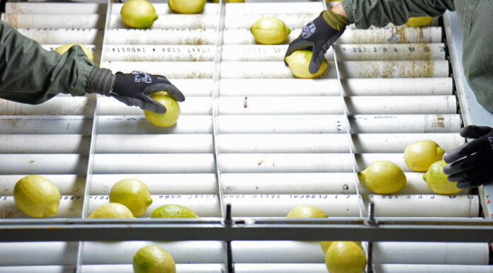 Trump suspende aranceles por 90 días a los países que