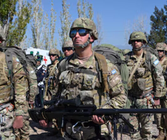 El Gobierno autorizó a las Fuerzas Armadas a detener civiles en la frontera norte fuerzas armadas