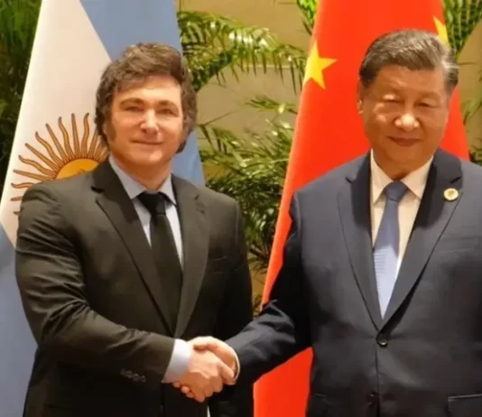 Una comitiva de empresas chinas desembarca en Argentina para analizar negocios: una por una, quiénes vienen al país