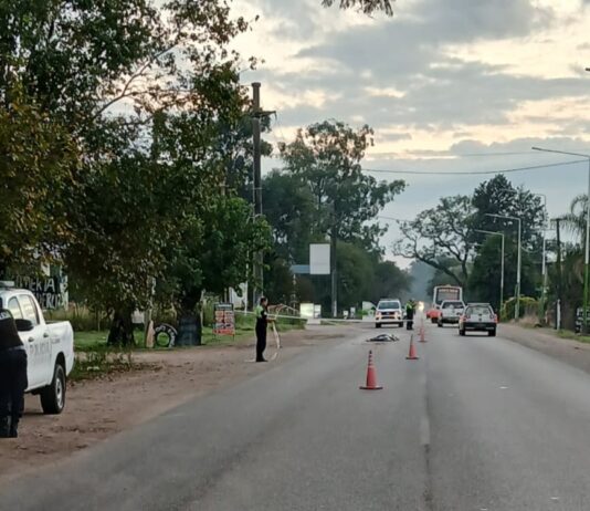 Ruta 304: una persona fue hallada sin vida Ruta 304: una persona fue hallada sin vida