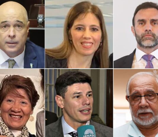 Quiénes son los libertarios que respaldaron en el Congreso el proyecto que Milei vetó