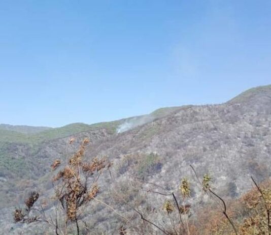 Intensas tareas para controlar el incendio en el cerro Kiko
