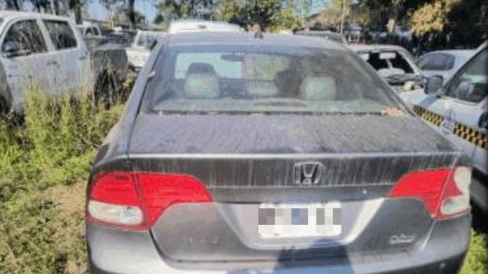 Sabrina Pasarín fue imputada por conducir un vehículo adulterado