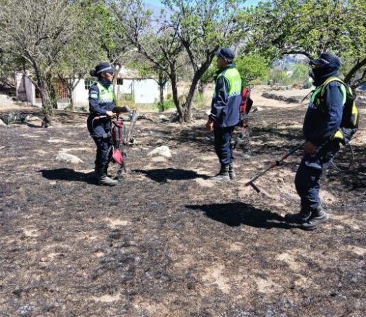 Vecinos y bomberos sofocaron un incendio en Tafí del Valle
