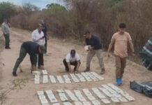 La Policía de Tucumán secuestró 120 kilos de marihuana en El Tala