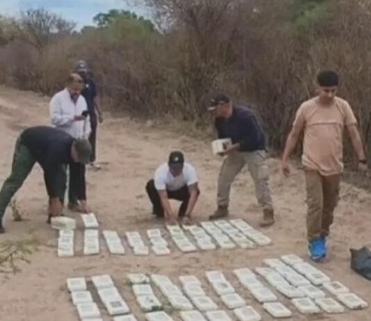 La Policía de Tucumán secuestró 120 kilos de marihuana en El Tala