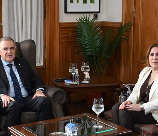 Jaldo recibió en Casa de Gobierno a la senadora nacional Beatriz Ávila