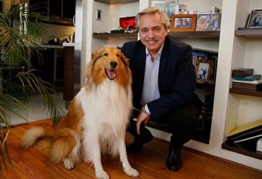 Murió Dylan, el perro de Alberto Fernández