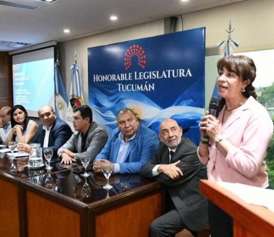 Formación y derechos: nueva capacitación provincial para equipos que trabajan con niñas y niños