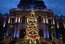 La Casa de Gobierno encendió su árbol de Navidad
