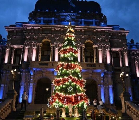 La Casa de Gobierno encendió su árbol de Navidad