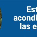 970×250—Mejoras-en-Escuelas_Diciembre-2025