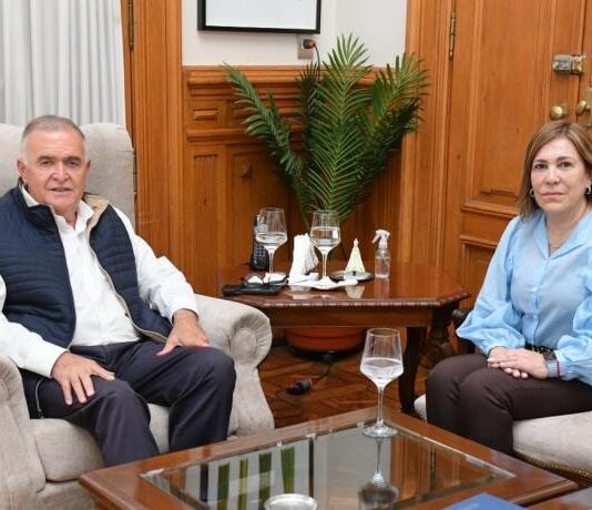 Jaldo y la senadora Ávila analizaron la agenda legislativa y el impacto de la reforma laboral en Tucumán