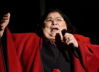 Jaldo repudió las dichos del coordinador de Radio Nacional contra Mercedes Sosa