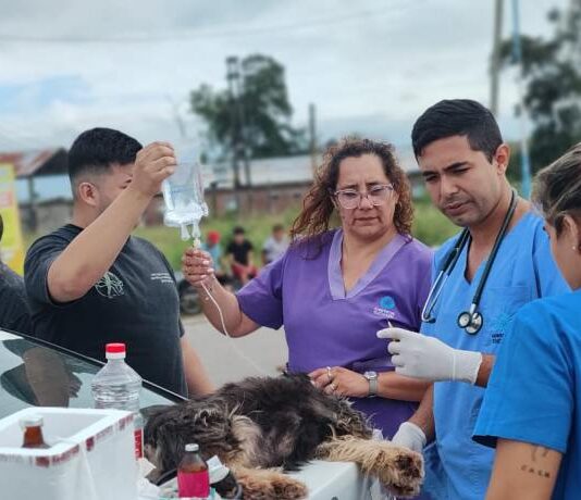 Tucumán Mascotas garantiza la sanidad animal en La Madrid