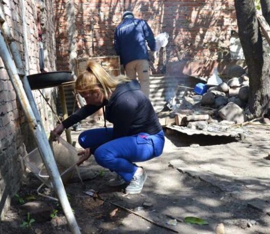 Detectan nuevos contagios de chikungunya y activan controles en la capital