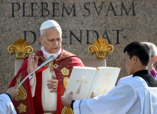 León XIV en el Domingo de Ramos: “Dios no legitima la guerra” y llamó a frenar la violencia global