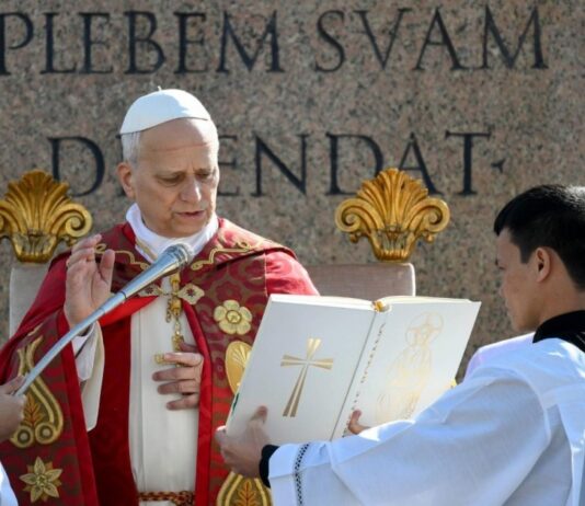 León XIV en el Domingo de Ramos: “Dios no legitima la guerra” y llamó a frenar la violencia global