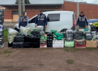 Incautaron 600 kilos de hojas de coca en Burruyacú