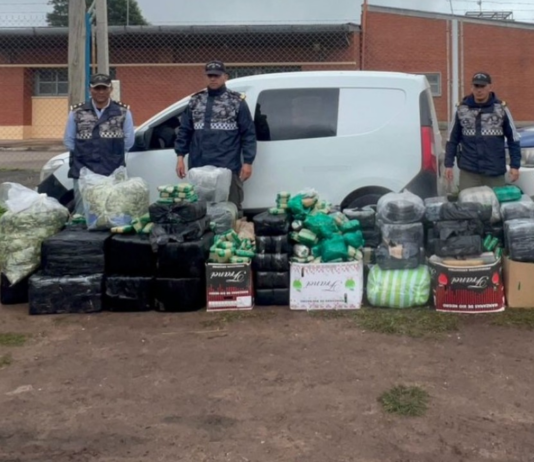 Incautaron 600 kilos de hojas de coca en Burruyacú