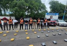 Jaldo: “Tucumán es la segunda provincia que más incauta droga» proveniente de países limítrofes