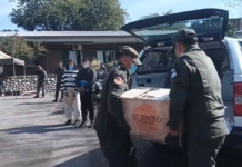 Gendarmería quemó de más de 258 kilos de cocaína en Tucumán
