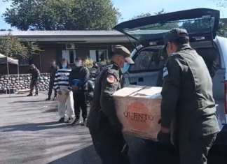 Gendarmería quemó de más de 258 kilos de cocaína en Tucumán