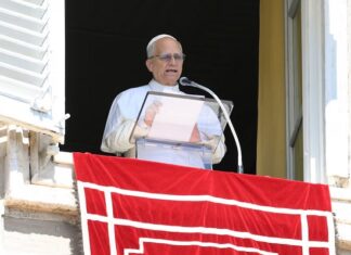 Crece la expectativa por una visita del Papa León XIV a la Argentina en noviembre de este año