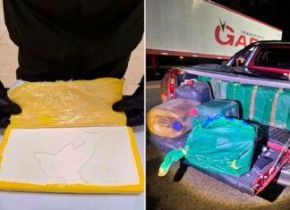 Buscan a un empresario gastronómico de Famaillá por el caso de los 470 kilos de cocaína
