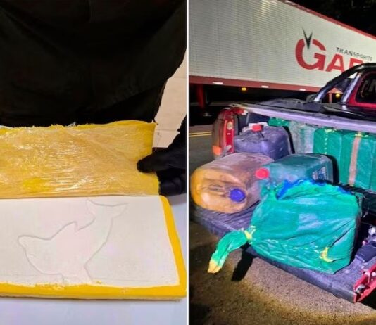 Buscan a un empresario gastronómico de Famaillá por el caso de los 470 kilos de cocaína