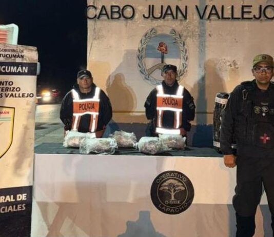 Secuestran más de cinco kilos de marihuana y una mujer fue detenida