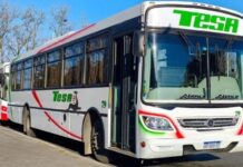 ¿Cómo vas a pagar el colectivo?: desde el 19 de agosto se elimina el efectivo en el interior.
