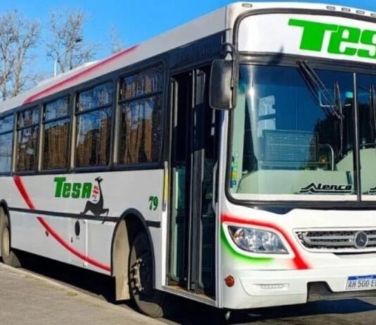 ¿Cómo vas a pagar el colectivo?: desde el 19 de agosto se elimina el efectivo en el interior.