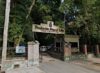 Fundación Miguel Lillo: procesan a directivos y traban embargos por $15 millones