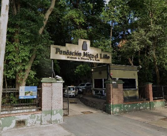 Fundación Miguel Lillo: procesan a directivos y traban embargos por $15 millones