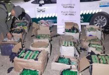 Secuestraron 186 kilos de hojas de coca y 71 pescados en dos procedimientos