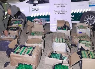 Secuestraron 186 kilos de hojas de coca y 71 pescados en dos procedimientos