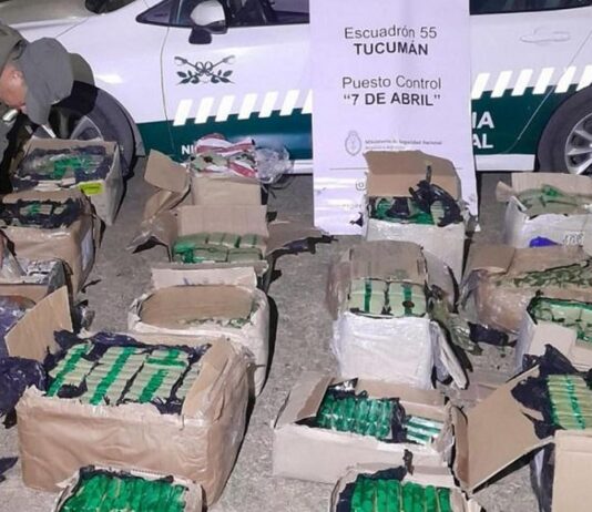 Secuestraron 186 kilos de hojas de coca y 71 pescados en dos procedimientos