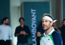 Juan Martín Del Potro fue nominado para entrar al Salón de la Fama del Tenis