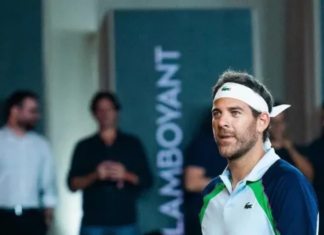 Juan Martín Del Potro fue nominado para entrar al Salón de la Fama del Tenis