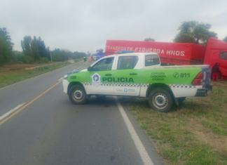 Accidente fatal en la ruta 9: fallecieron dos policías