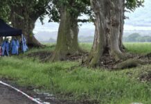 El cuerpo de un hombre fue hallado en el Camino Viejo de San Pablo