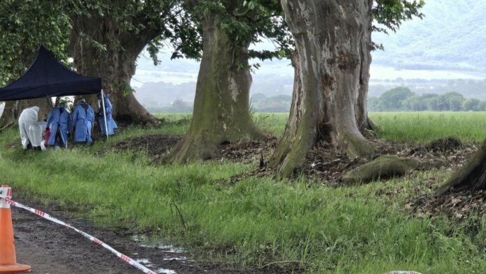 El cuerpo de un hombre fue hallado en el Camino