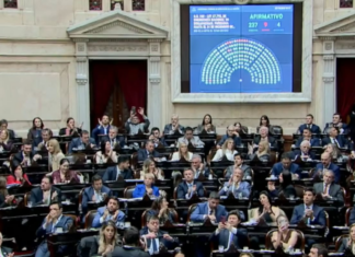 El Gobierno consiguió aprobar su proyecto de discapacidad con el respaldo del peronismo