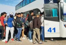 Trabajadores golondrina: se espera que emigren cerca de 22.000 trabajadores